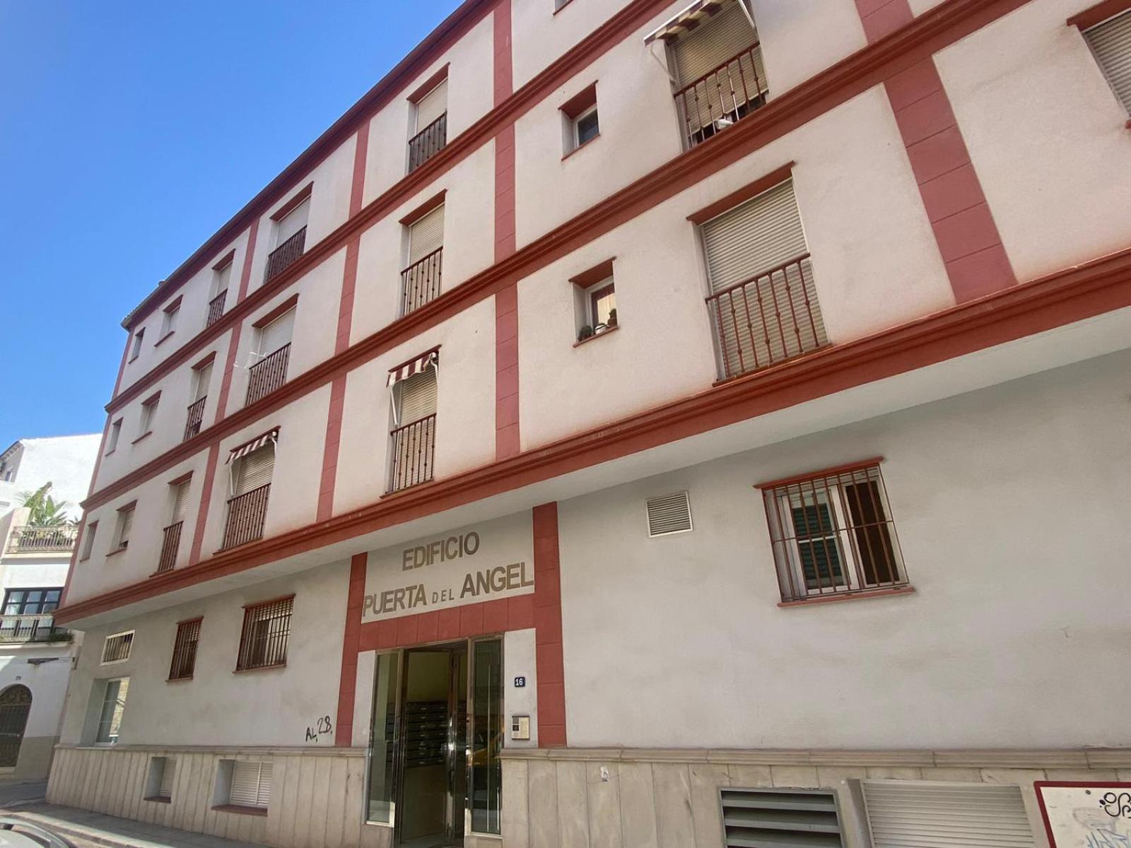 Maravilloso Apartamento Centrico De 70M2, Jardin Propio 40M2 Con Piscina Para Ninos Y Parking Opcional マラガ エクステリア 写真