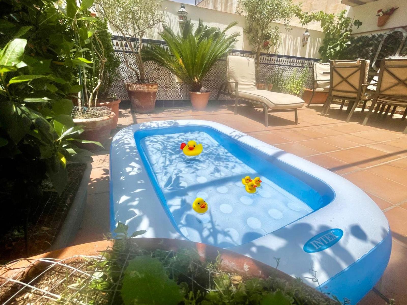 Maravilloso Apartamento Centrico De 70M2, Jardin Propio 40M2 Con Piscina Para Ninos Y Parking Opcional マラガ エクステリア 写真