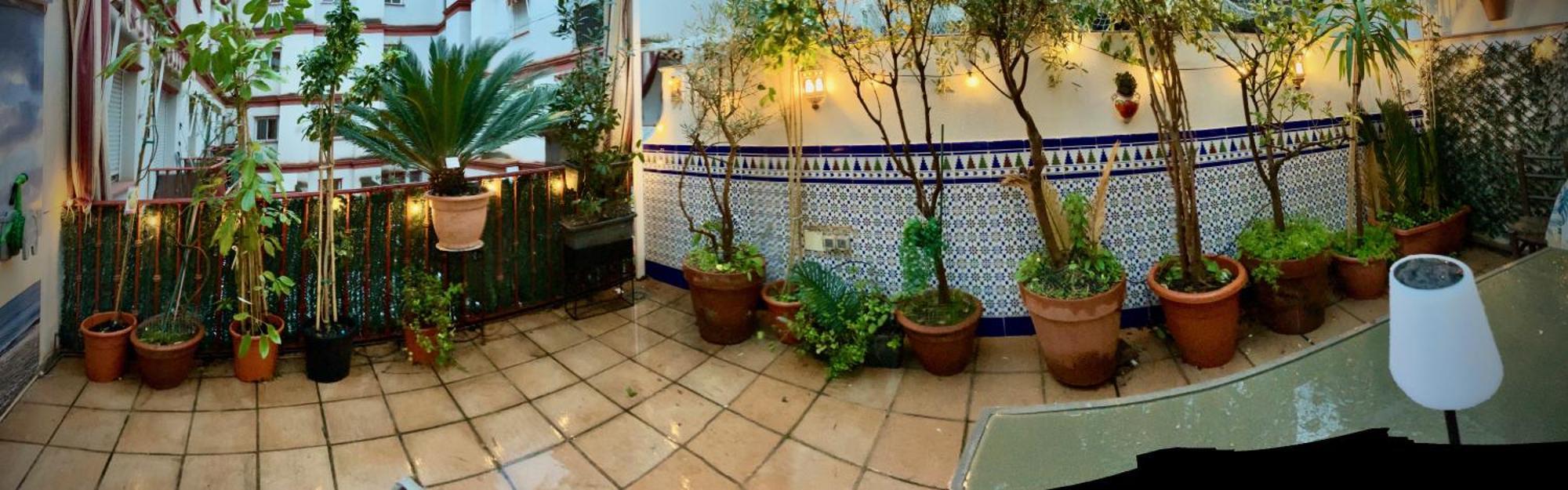 Maravilloso Apartamento Centrico De 70M2, Jardin Propio 40M2 Con Piscina Para Ninos Y Parking Opcional マラガ エクステリア 写真